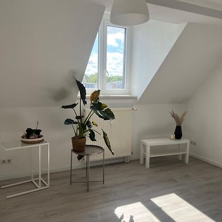 Cozy Work And Stay Pretty Home Chemnitz  Exteriér fotografie
