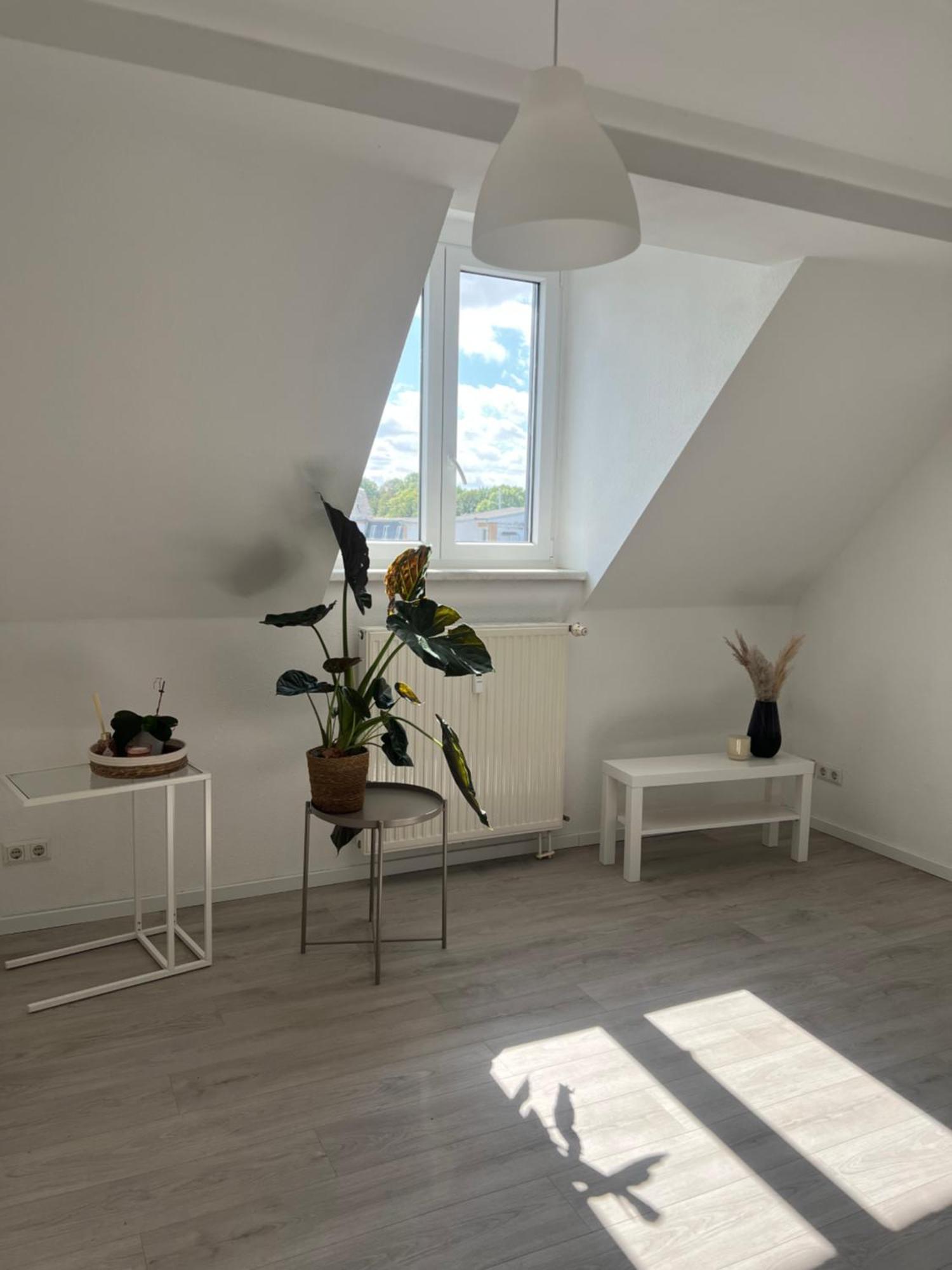Cozy Work And Stay Pretty Home Chemnitz  Exteriér fotografie